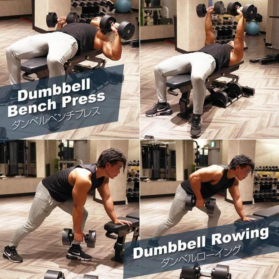 フレックスベル 20kg×2個セット (NUO 正規代理店品) 可変式ダンベル