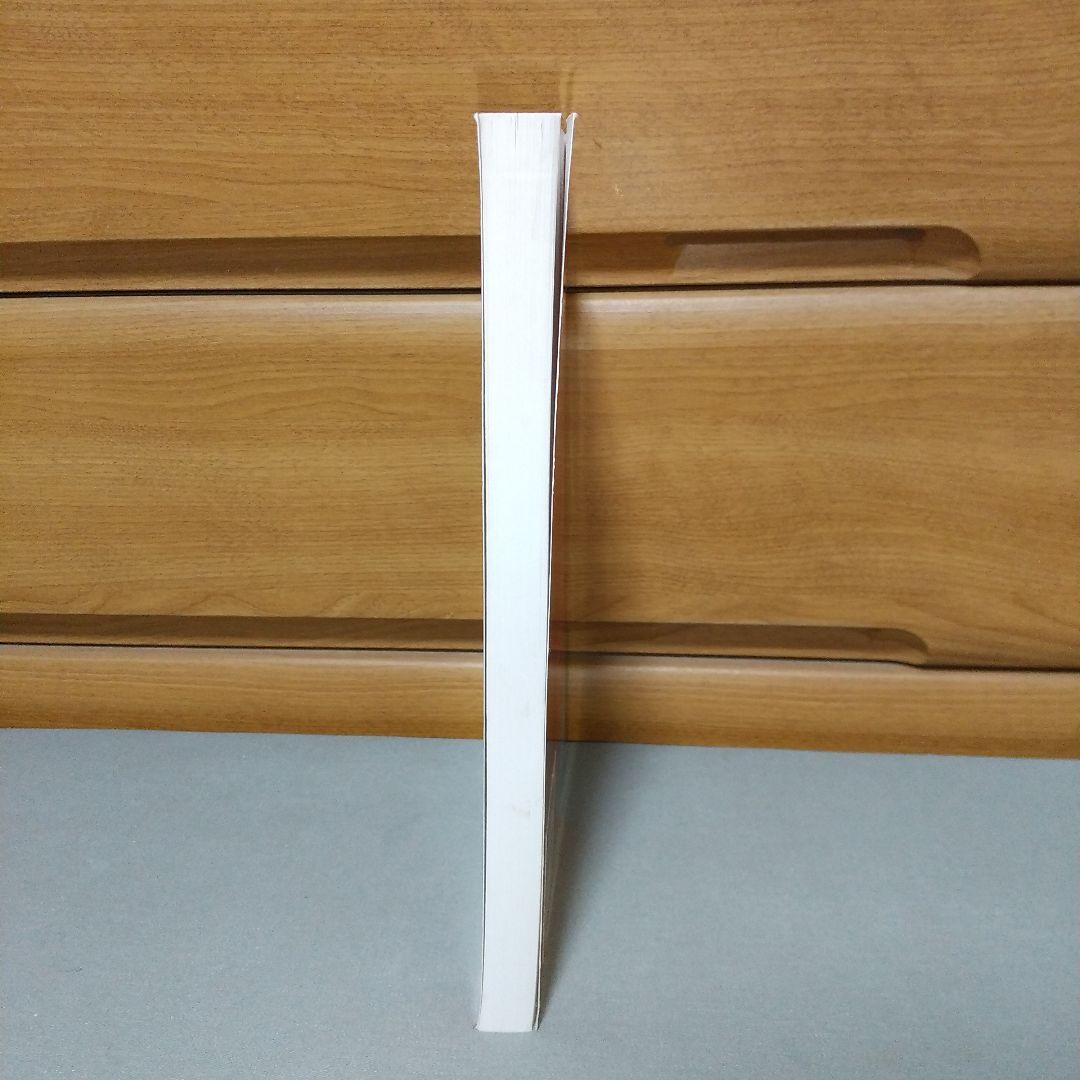 Principles of Lasers and Optics ペーパーバック