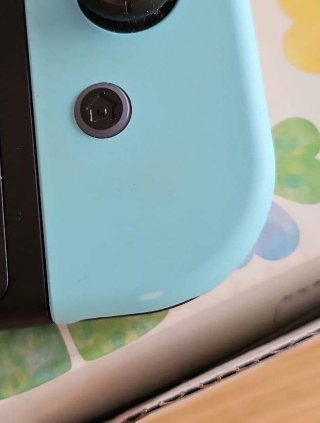 【3/19迄限定1000円引】Nintendo Switch どうぶつの森セット