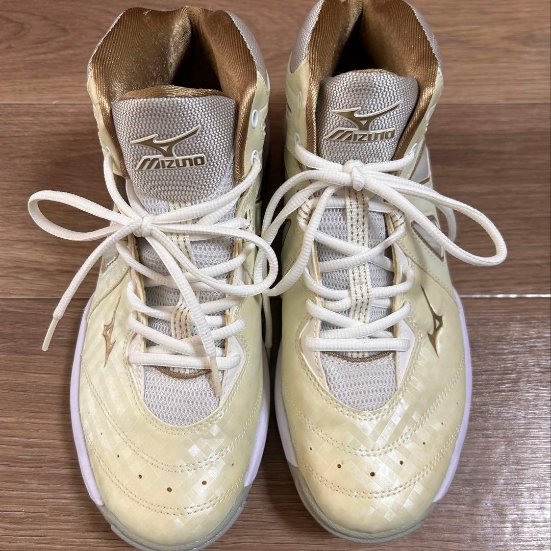 ミズノ ウェーブダイバース　トレーニング　27.0cm 定価14,000