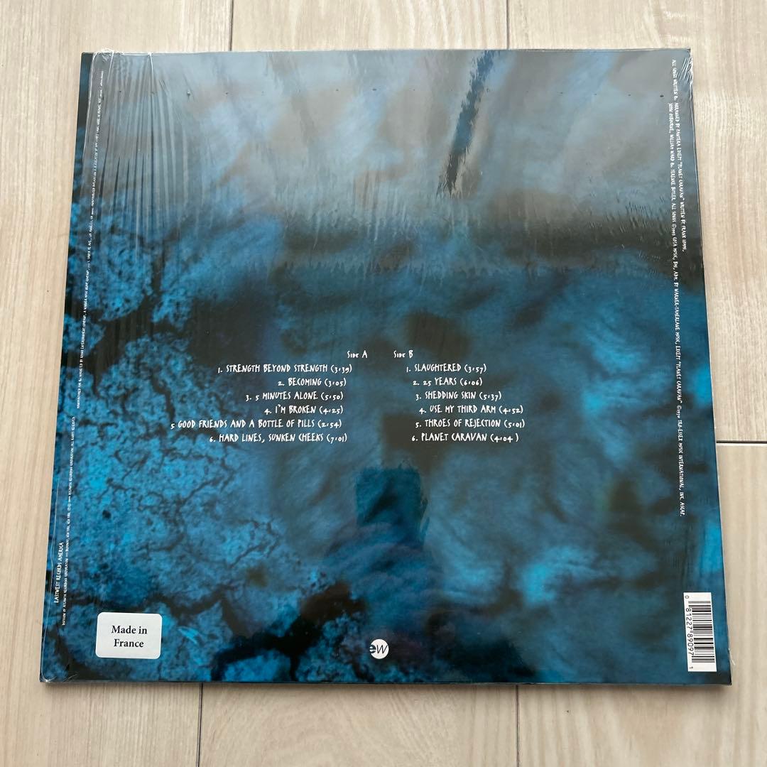 PANTERA FAR BEYOND DRIVEN 限定版