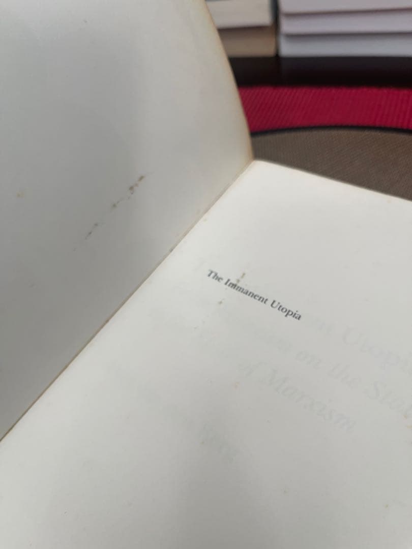 希少　THE IMMANENT UTOPIA Axel van den Berg