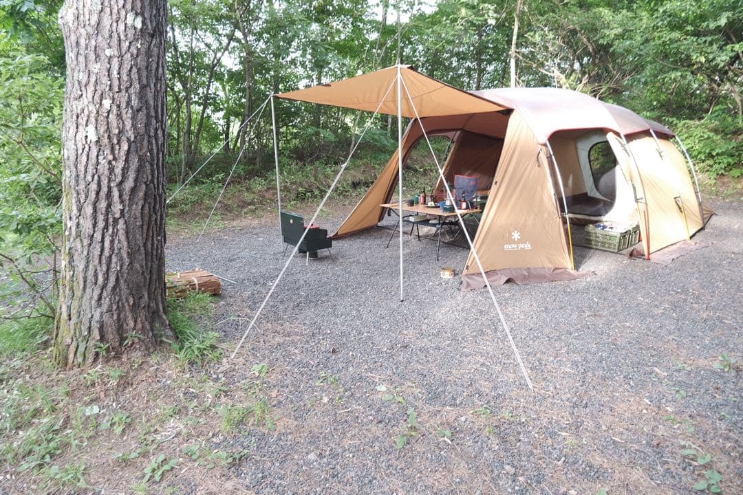 ［別売オプション付き］ Peak エントリーエルフィールドTP-880