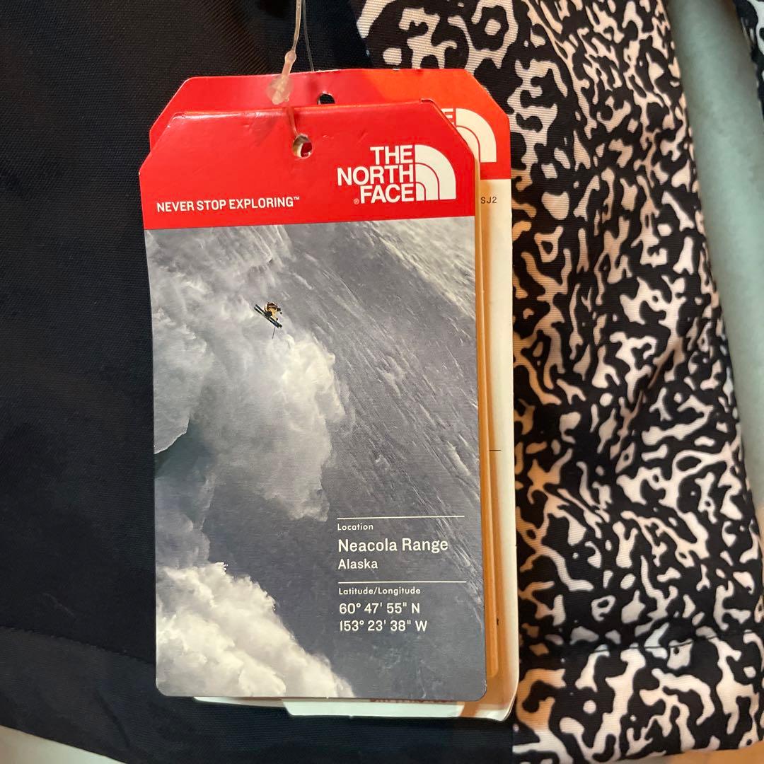 ノースフェイス 2016年モデル 激安 新品 日本未発売 希少 海外限定 USA