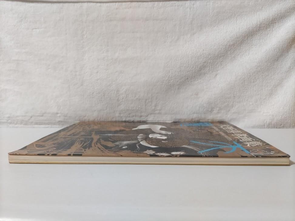 【天野喜孝 2冊】飛天／魔天　画集　eeo