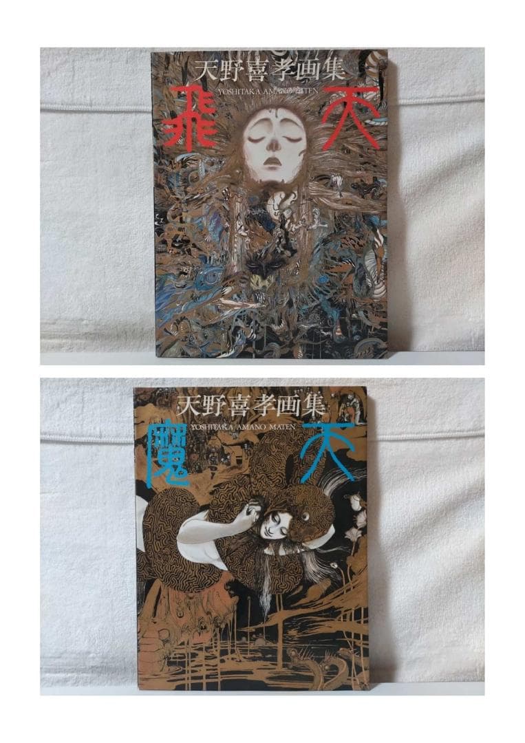 【天野喜孝 2冊】飛天／魔天　画集　eeo
