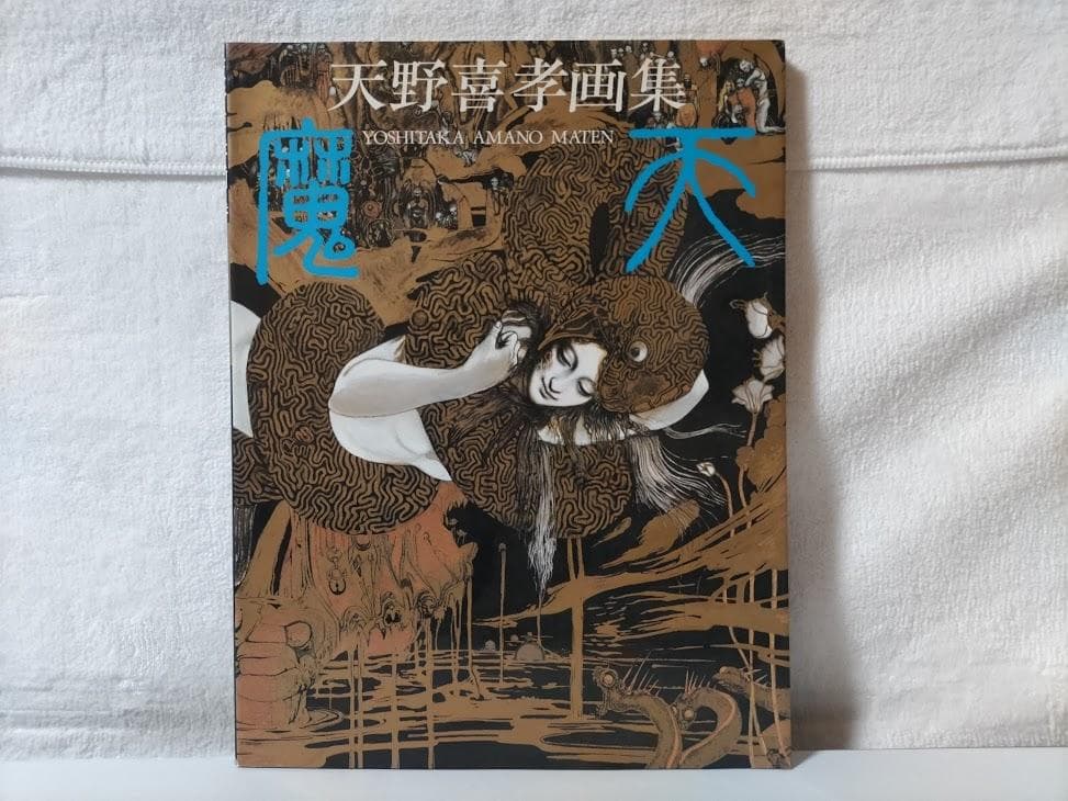 【天野喜孝 2冊】飛天／魔天　画集　eeo