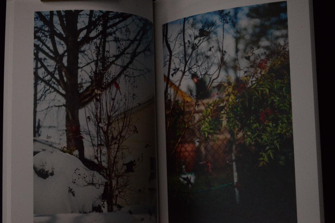 As the Crow Flies:Terri Weifenbac★値下げました