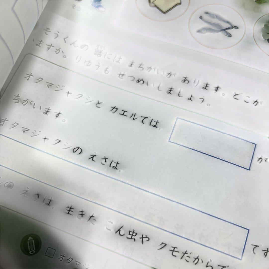 ブンブンどりむ 基礎コース ワークブック　ドキドキ基礎コース　12ヶ月分