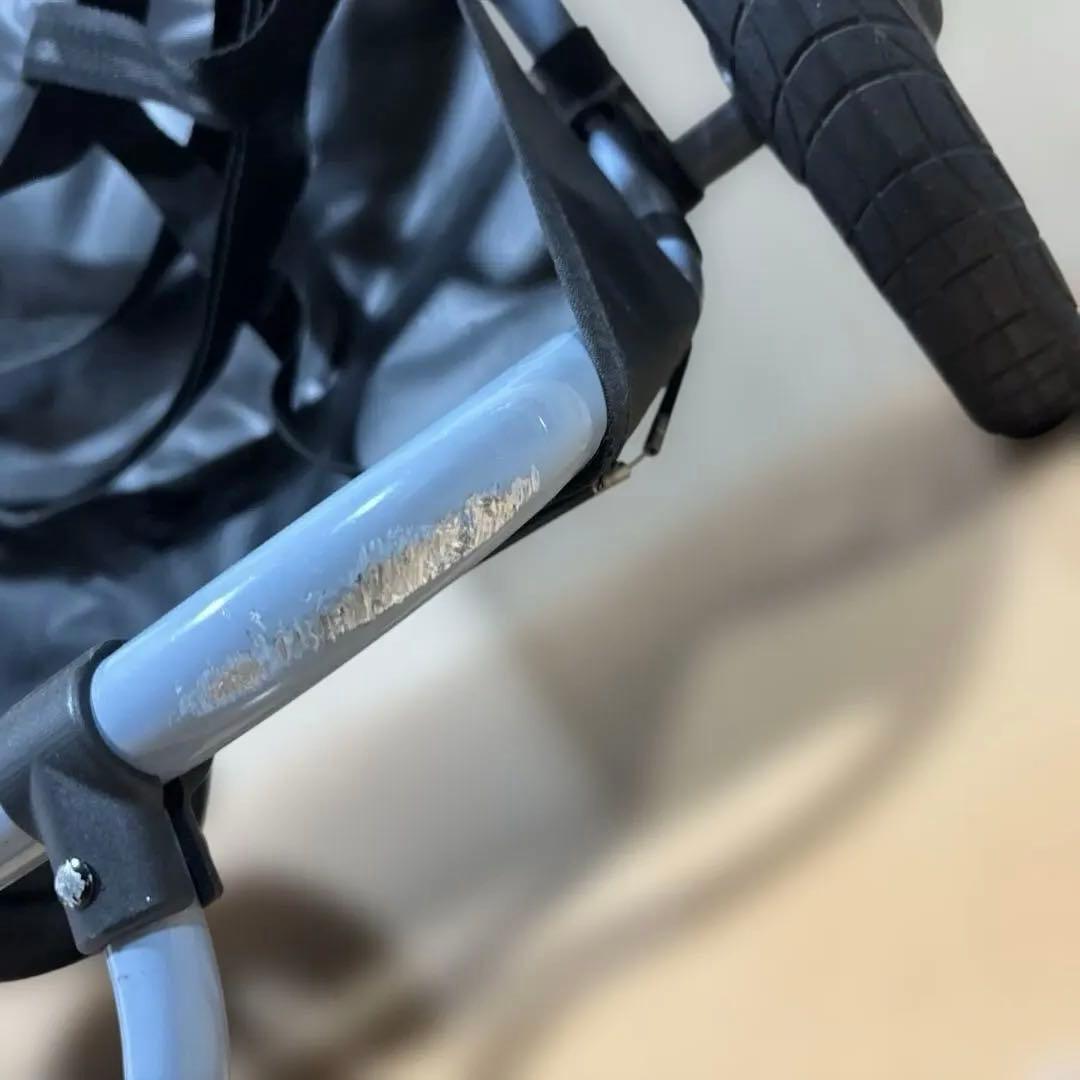 バーレートラボーイ（Burley Travoy）