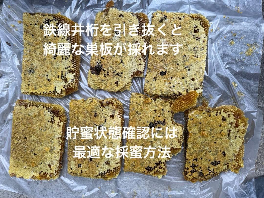 ニホンミツバチ重箱式巣箱4段 スライド底板 付巣門台座　スノコ付き　セット割引有