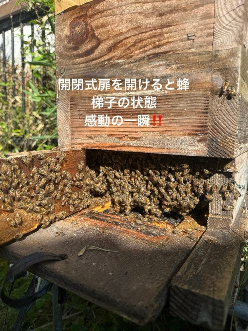 ニホンミツバチ重箱式巣箱4段 スライド底板 付巣門台座　スノコ付き　セット割引有