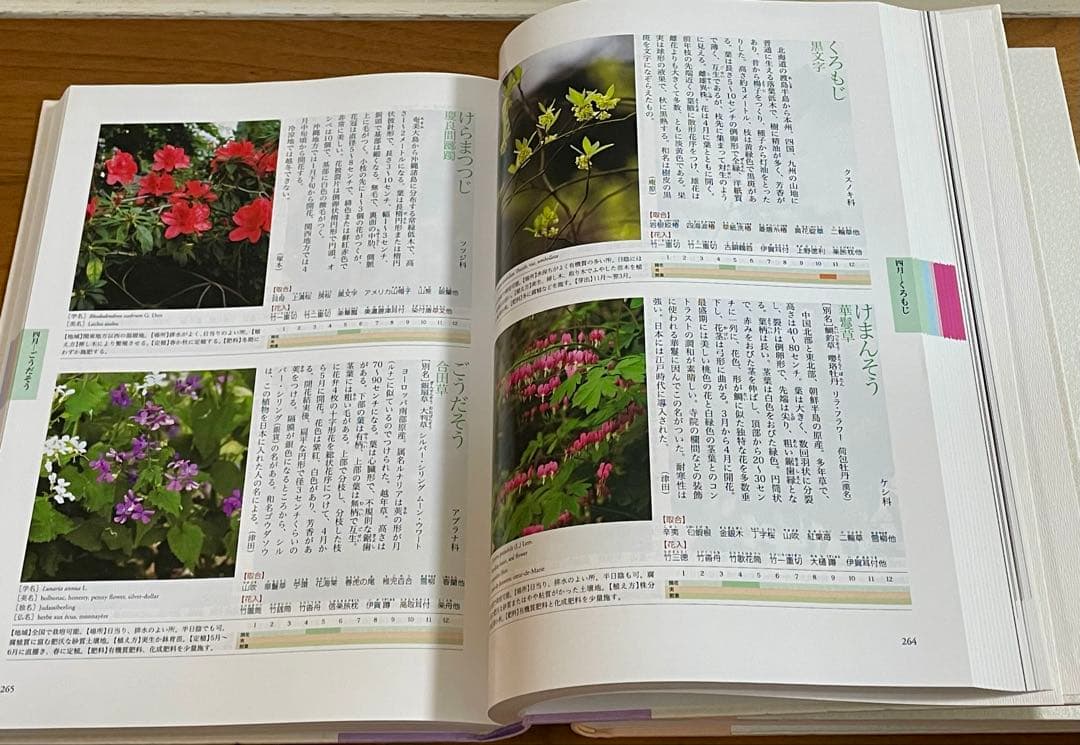 新版 茶花大事典 全2巻