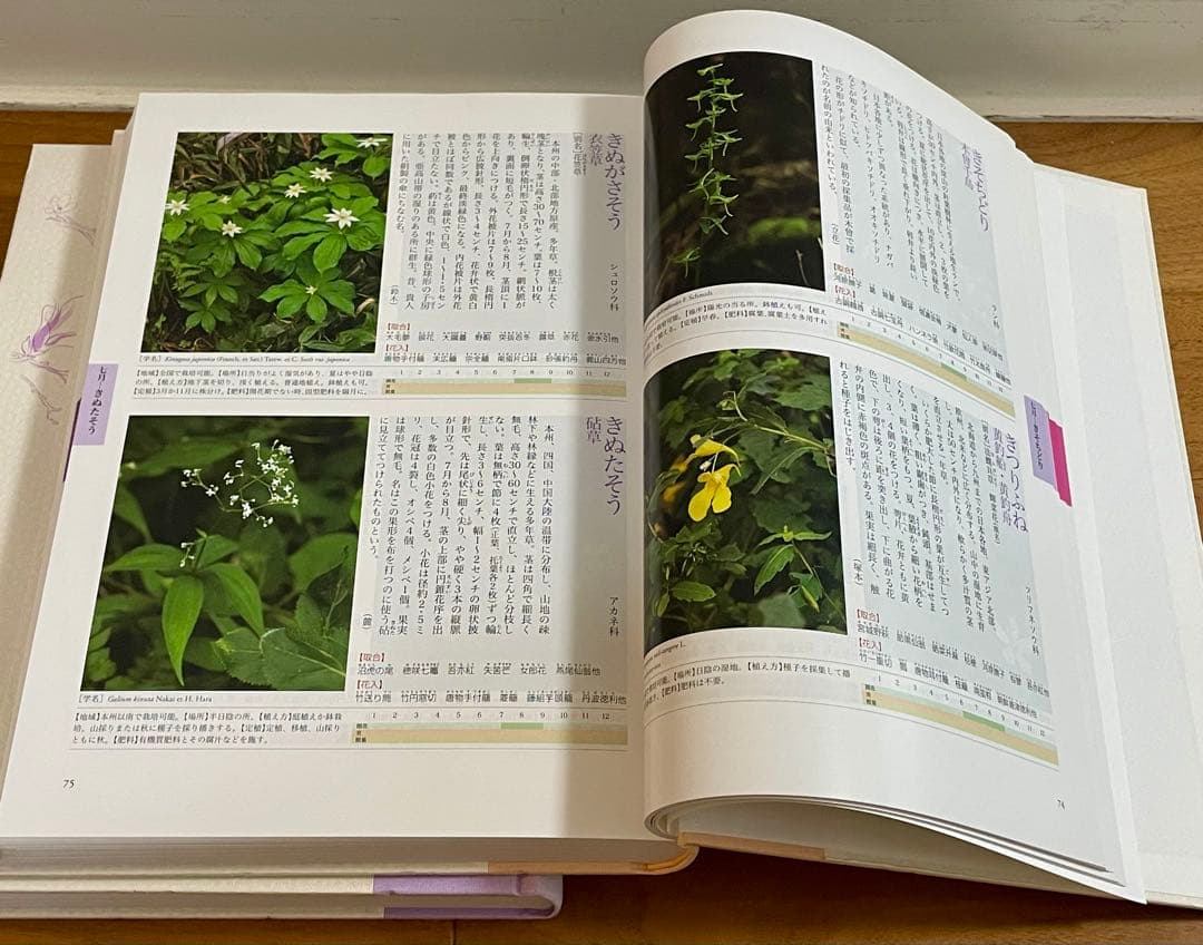 新版 茶花大事典 全2巻