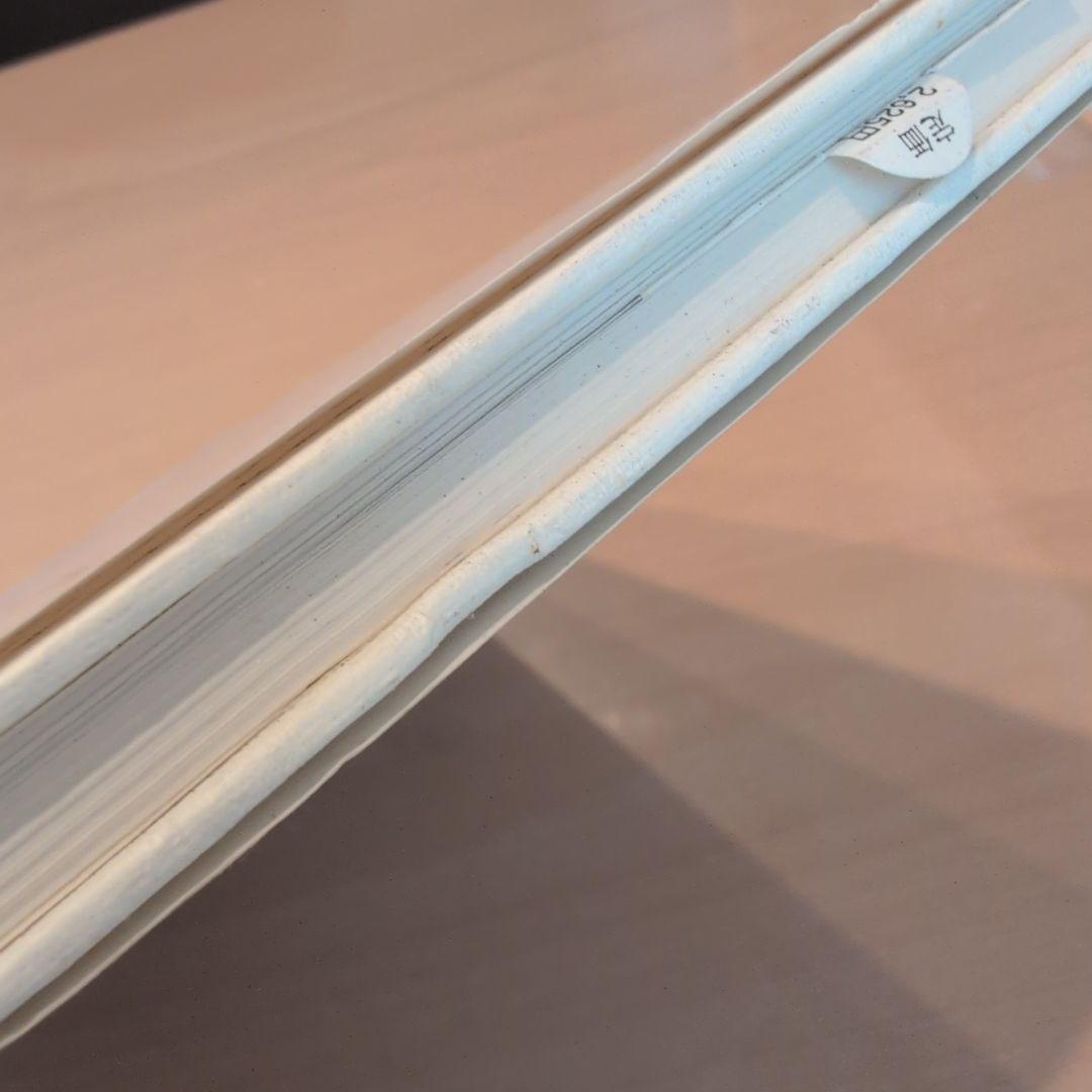 大塚あや子の白糸刺しゅう : シュヴァルム・ドロンワーク・ラスキンレース・カサ…