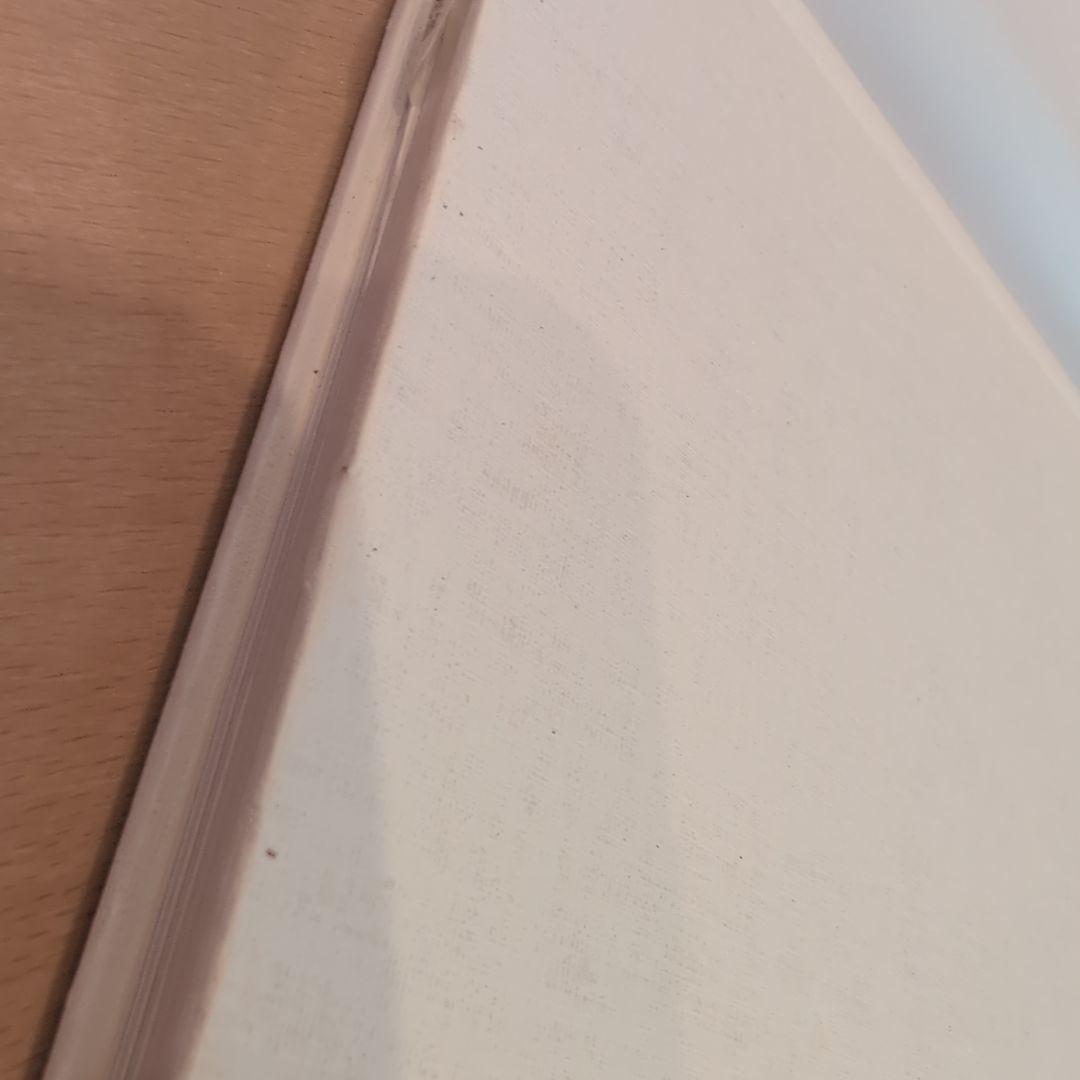 大塚あや子の白糸刺しゅう : シュヴァルム・ドロンワーク・ラスキンレース・カサ…