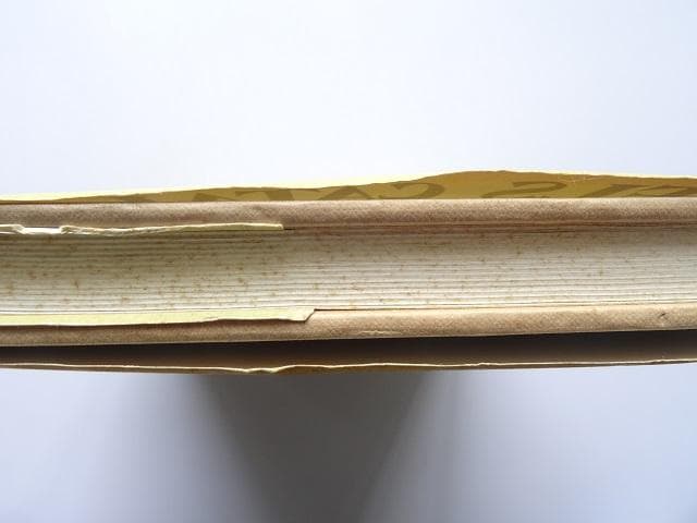 洋書◆シチリア島のカタルーニャ人資料集 本 世界史 建築 遺跡 建物 教会