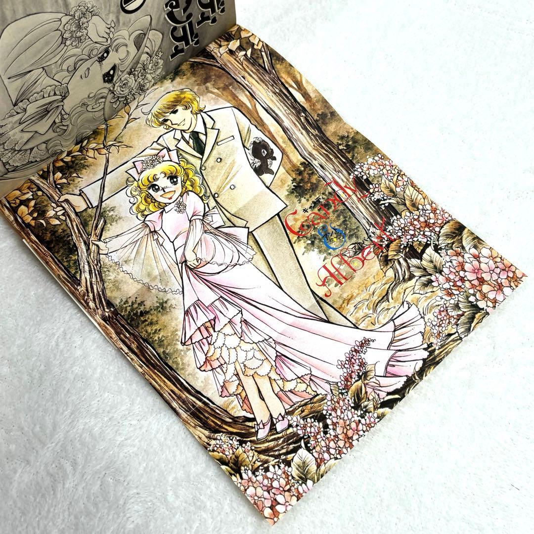 【入手困難】キャンディ♡キャンディ全巻9巻[完] 5巻〜9巻初版