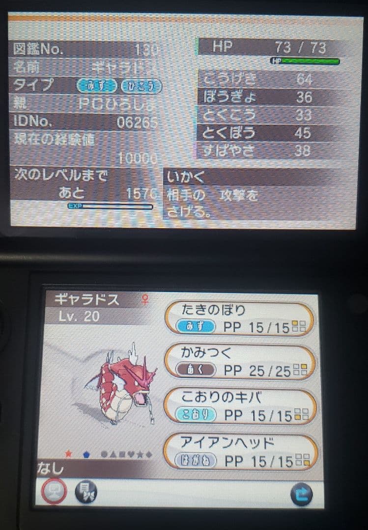 Y 配布あり ポケモン 3DS