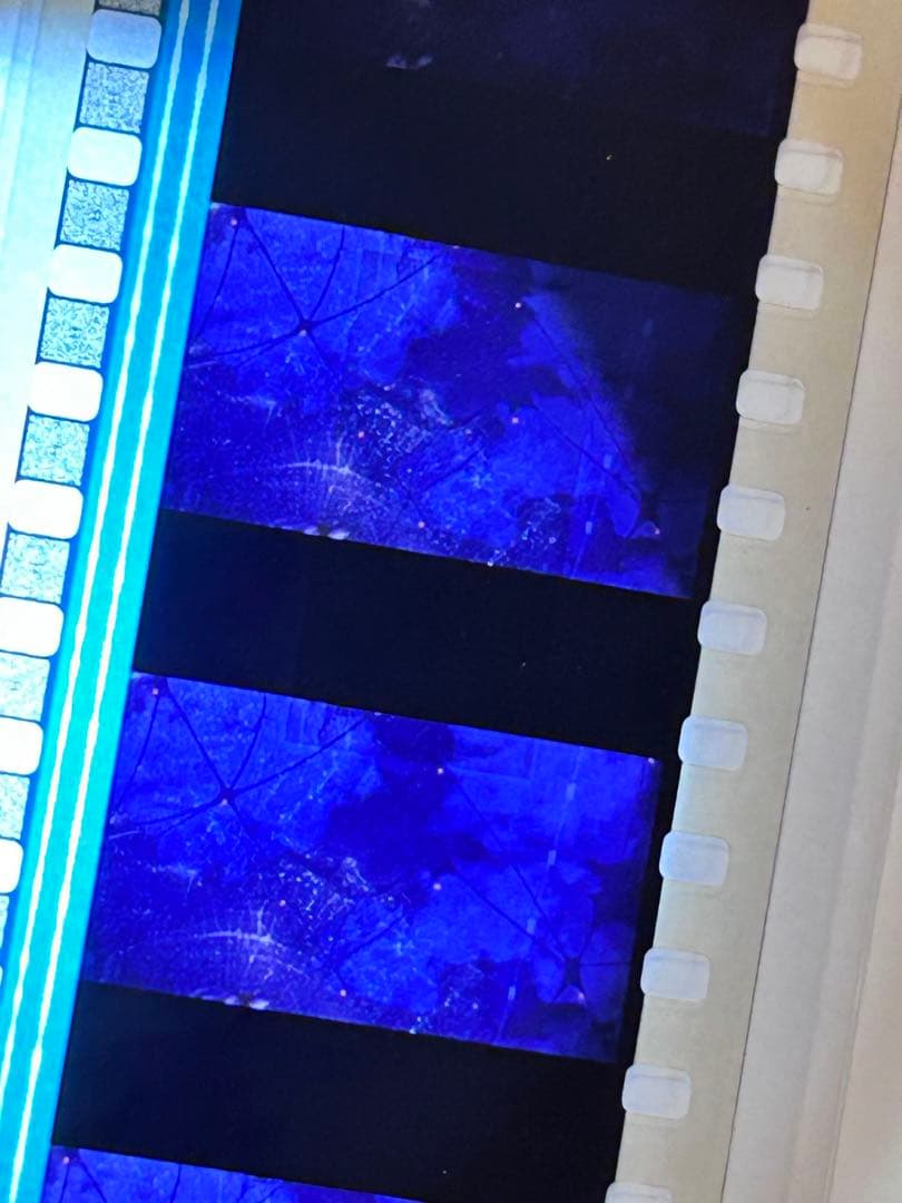 劇場版 マクロスF DVD 初回限定版　前後編セット　生フィルム　特典付き