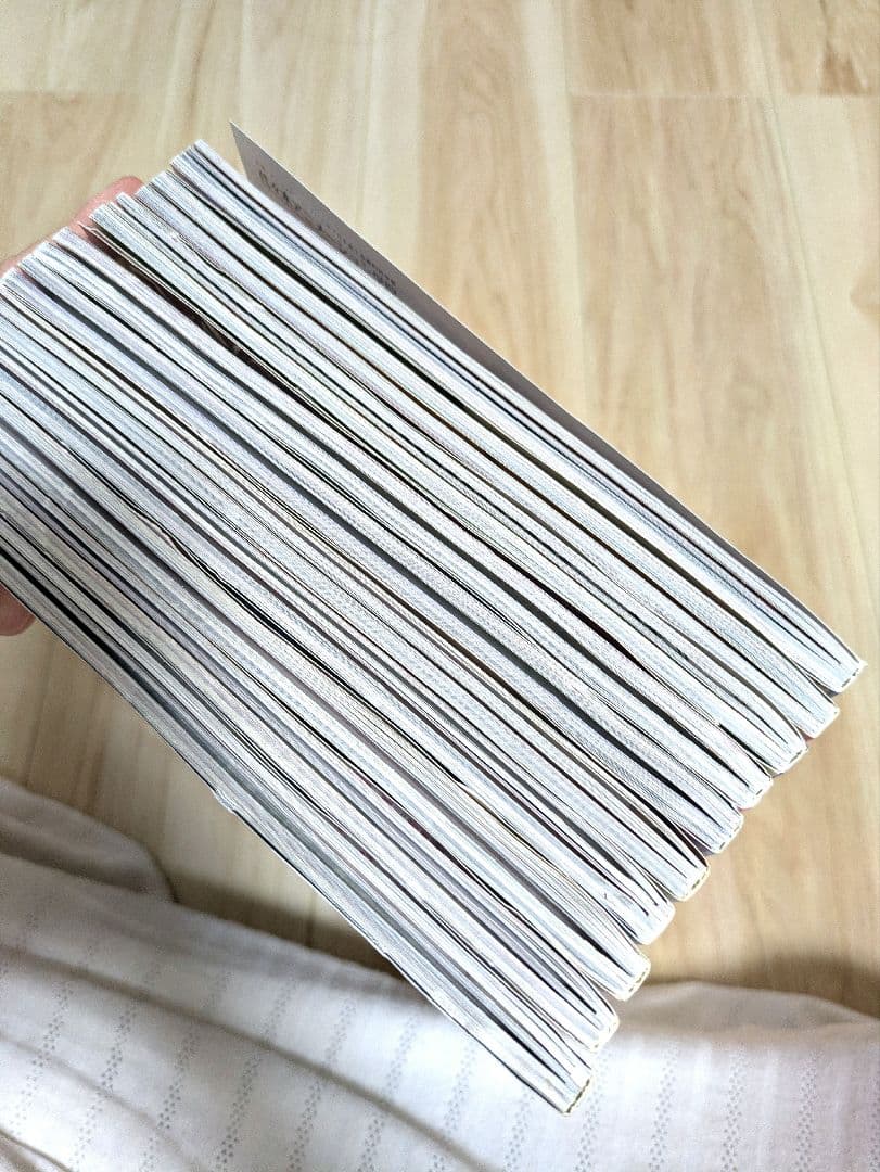 ゴシック&ロリータバイブル 41〜50 10冊 gothic lolita