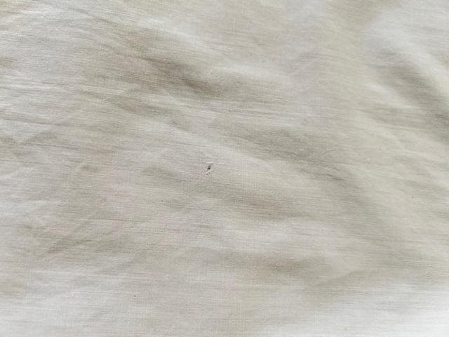 フランスアンティーク フリル ピンタックブラウス　コットン　比翼仕立て 白　長袖