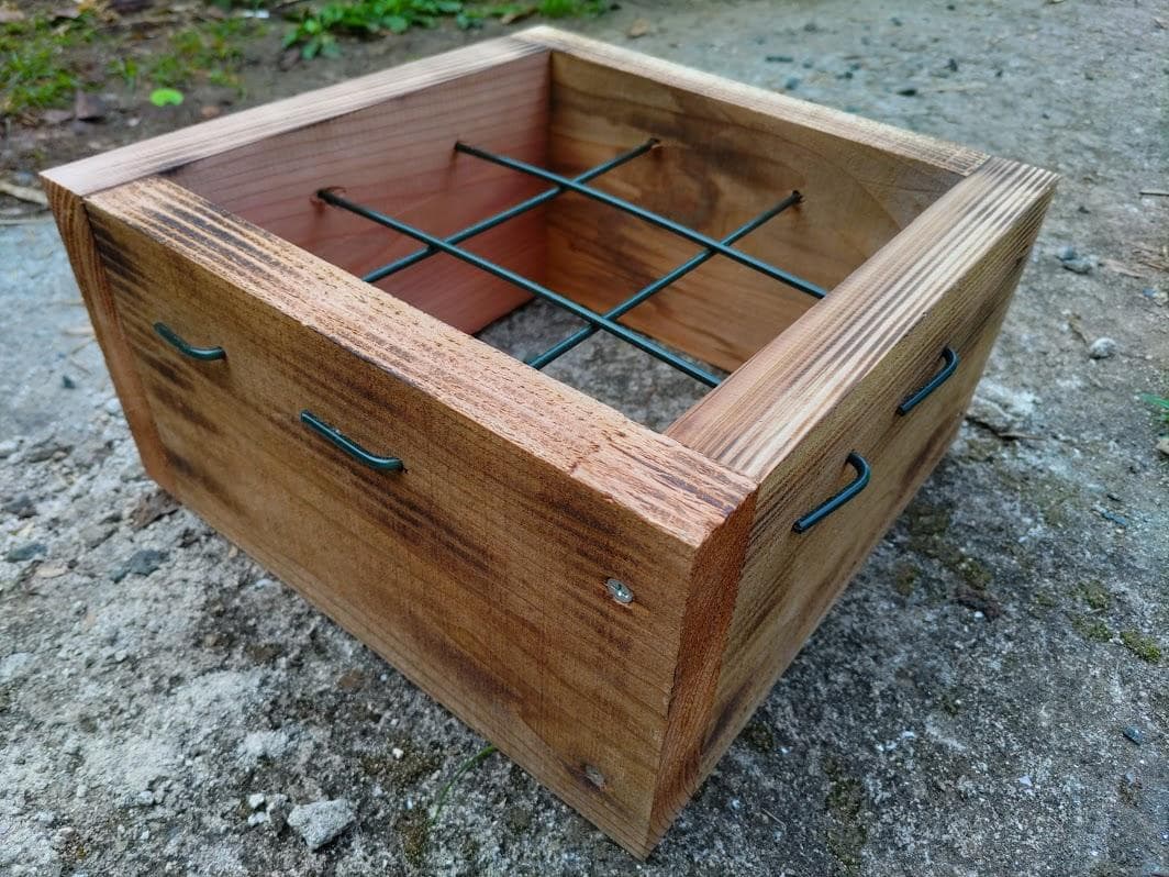 花芽4本付きキンリョウヘン➕日本蜜蜂 重箱式巣箱4段➕スノコ