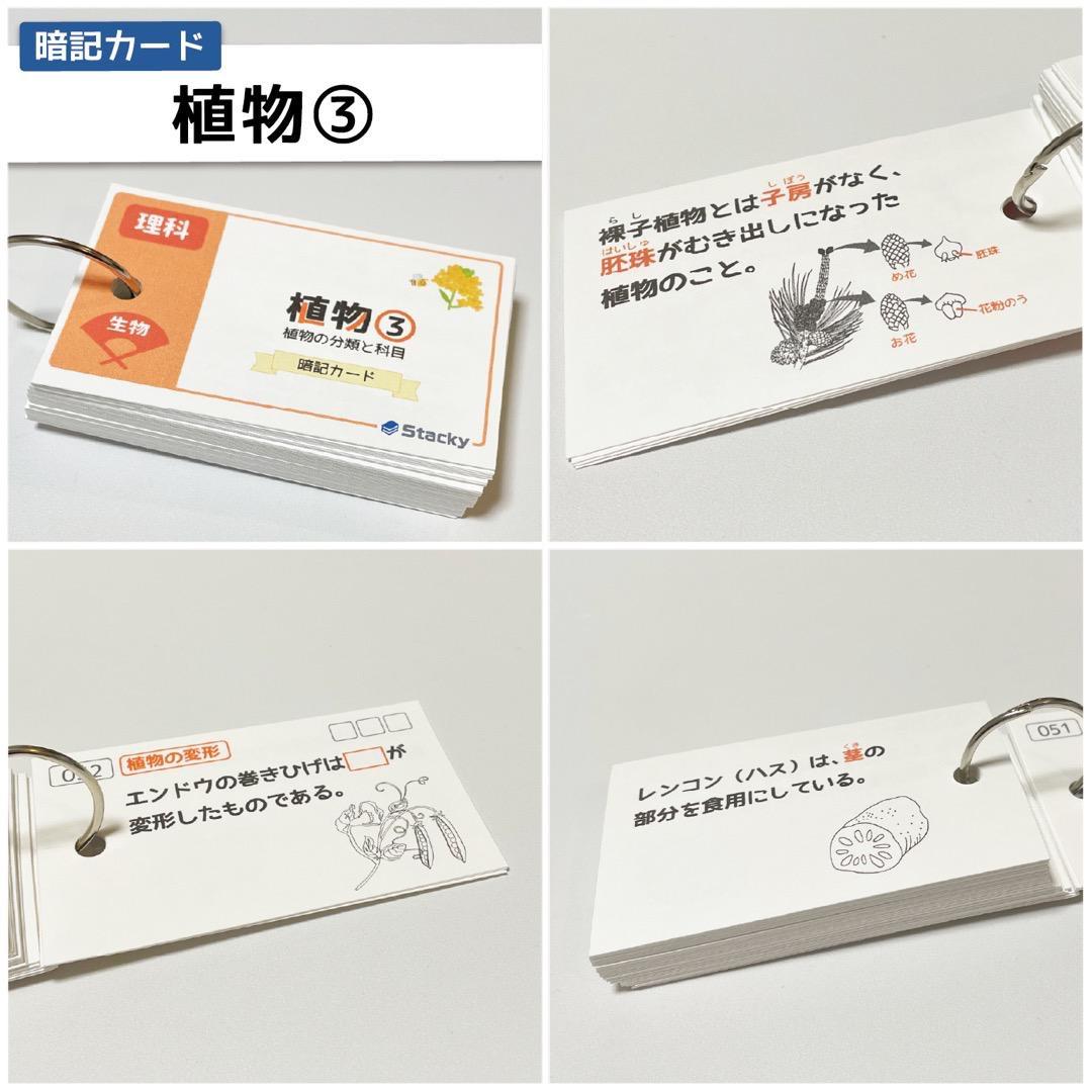 中学受験 国語＆理科 暗記カード【MX028】