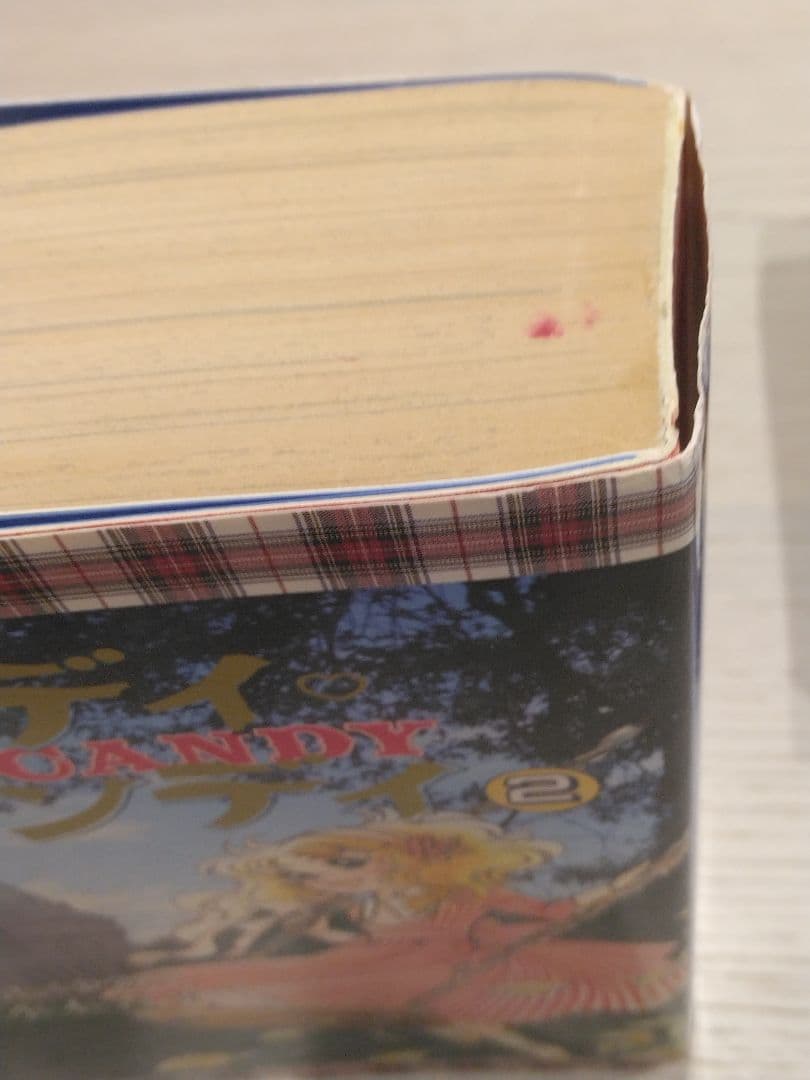 イラスト サイン入り　キャンディ・キャンディ 全2巻　愛蔵版 いがらしゆみこ