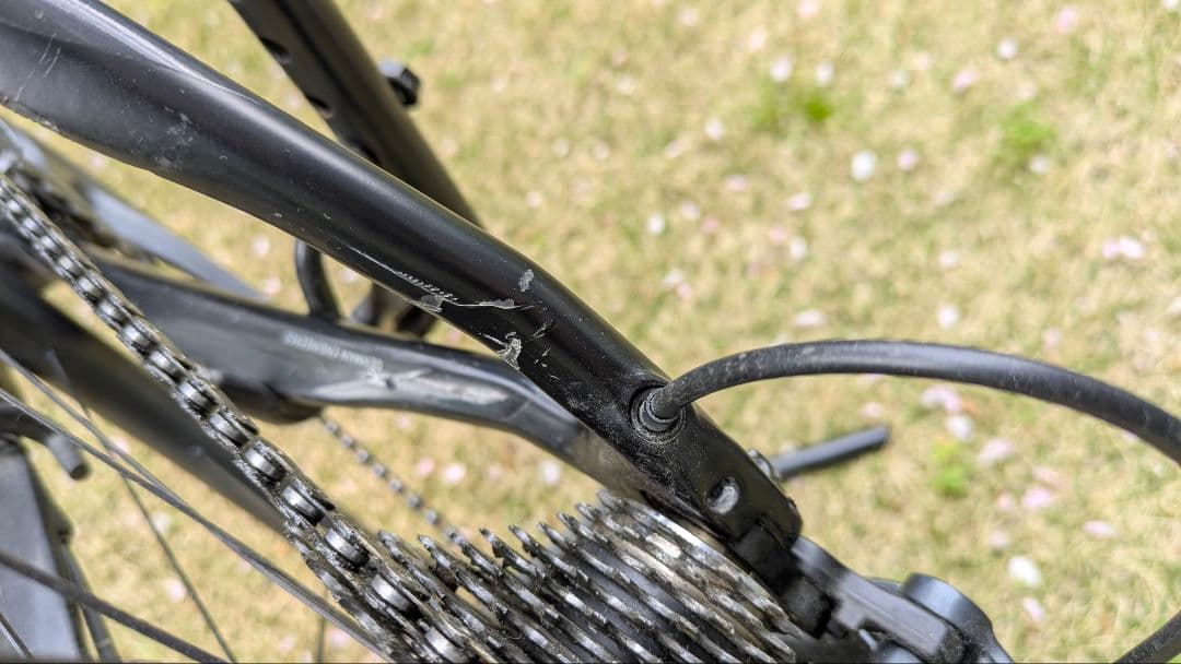 FOCUS パラレーン 2017 おまけ多数 引き取り限定 東京都内