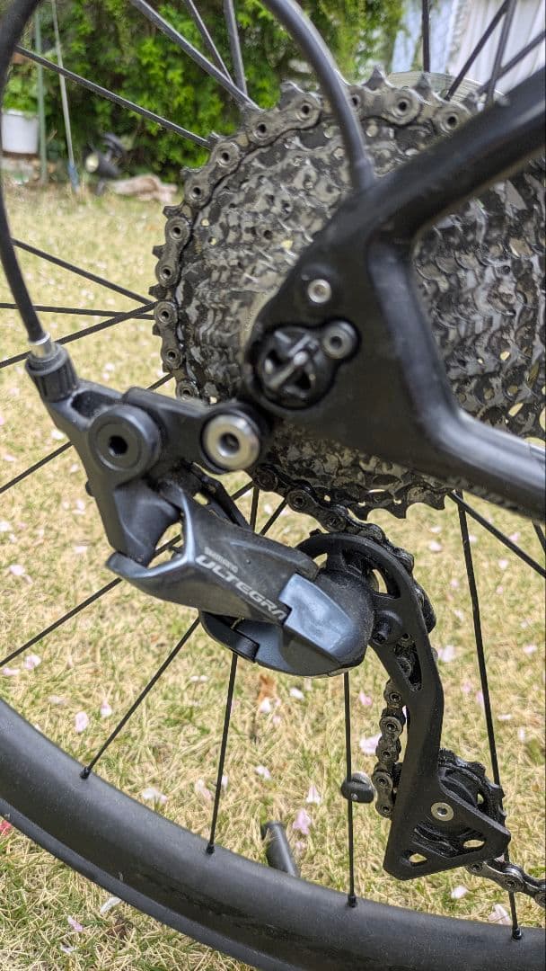 FOCUS パラレーン 2017 おまけ多数 引き取り限定 東京都内