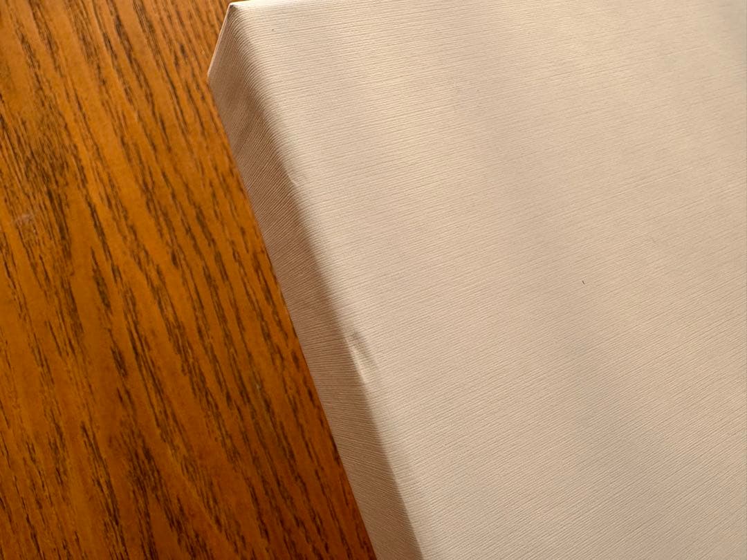 その他 2019 Park Bo Gum Good Day in Japan DVD