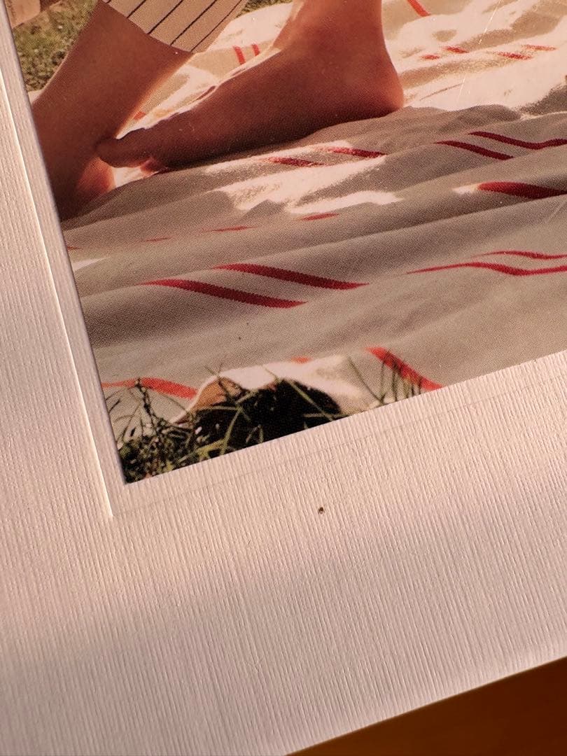 その他 2019 Park Bo Gum Good Day in Japan DVD