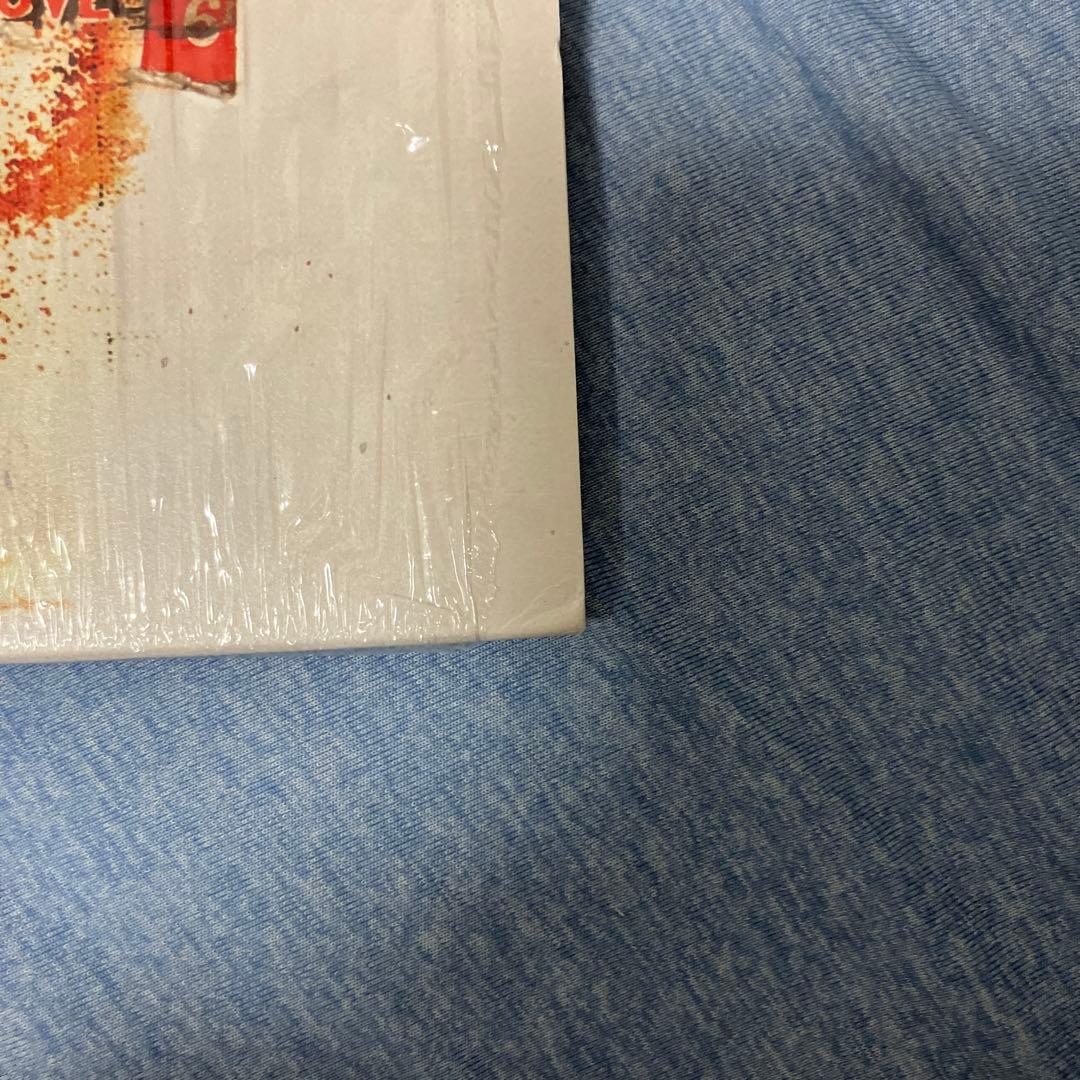 Peter Doherty Grace/Wastelands LPレコード