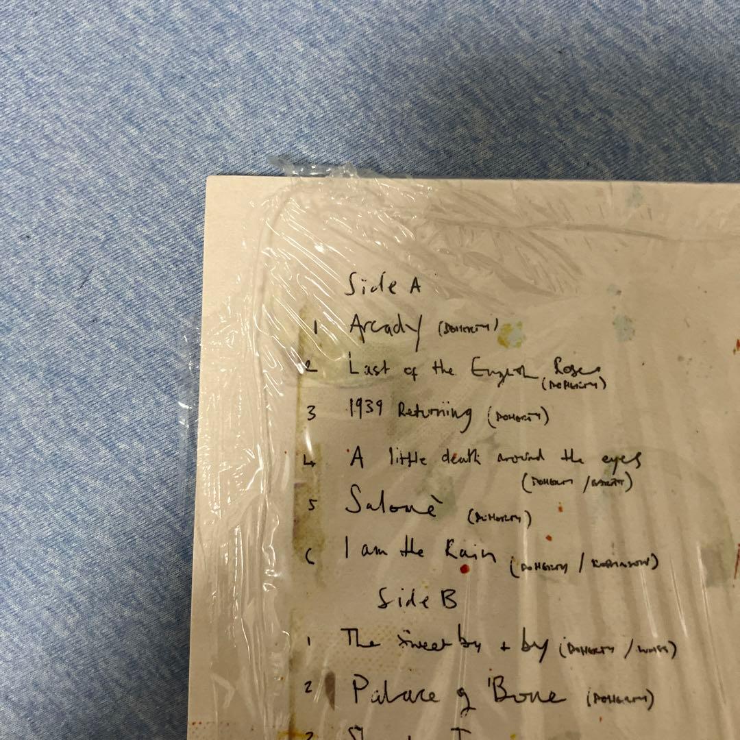 Peter Doherty Grace/Wastelands LPレコード