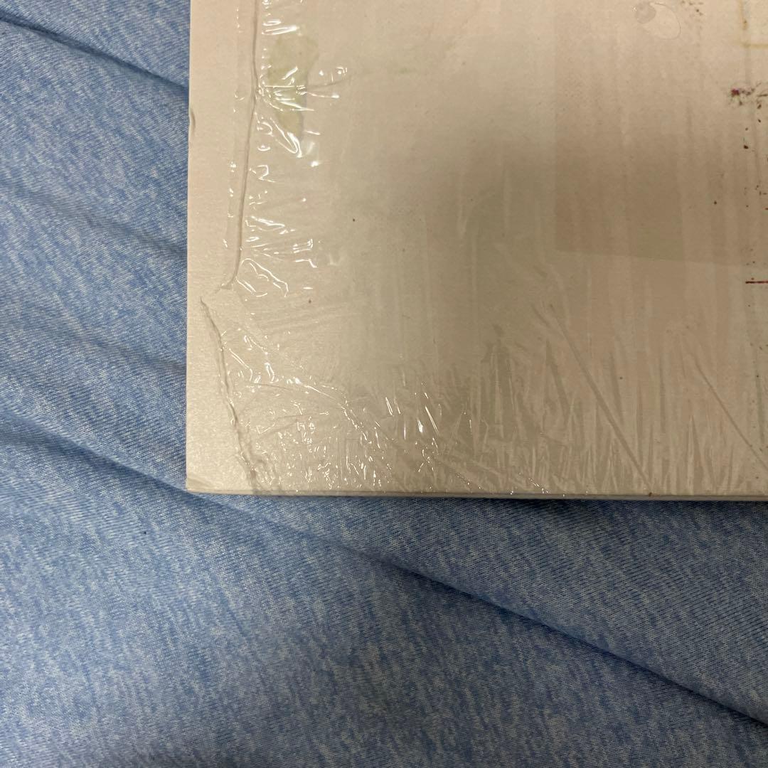 Peter Doherty Grace/Wastelands LPレコード