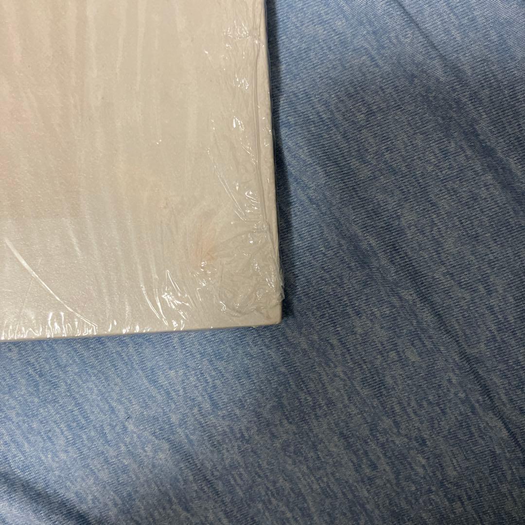 Peter Doherty Grace/Wastelands LPレコード