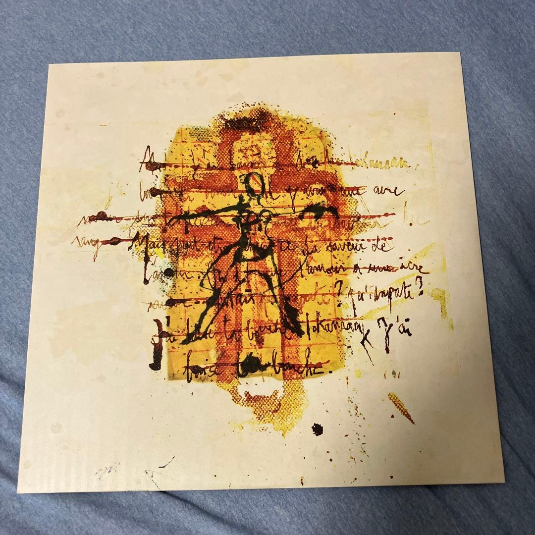 Peter Doherty Grace/Wastelands LPレコード