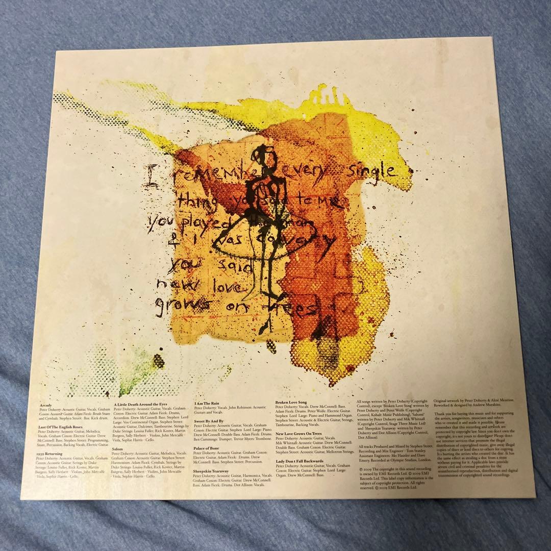 Peter Doherty Grace/Wastelands LPレコード