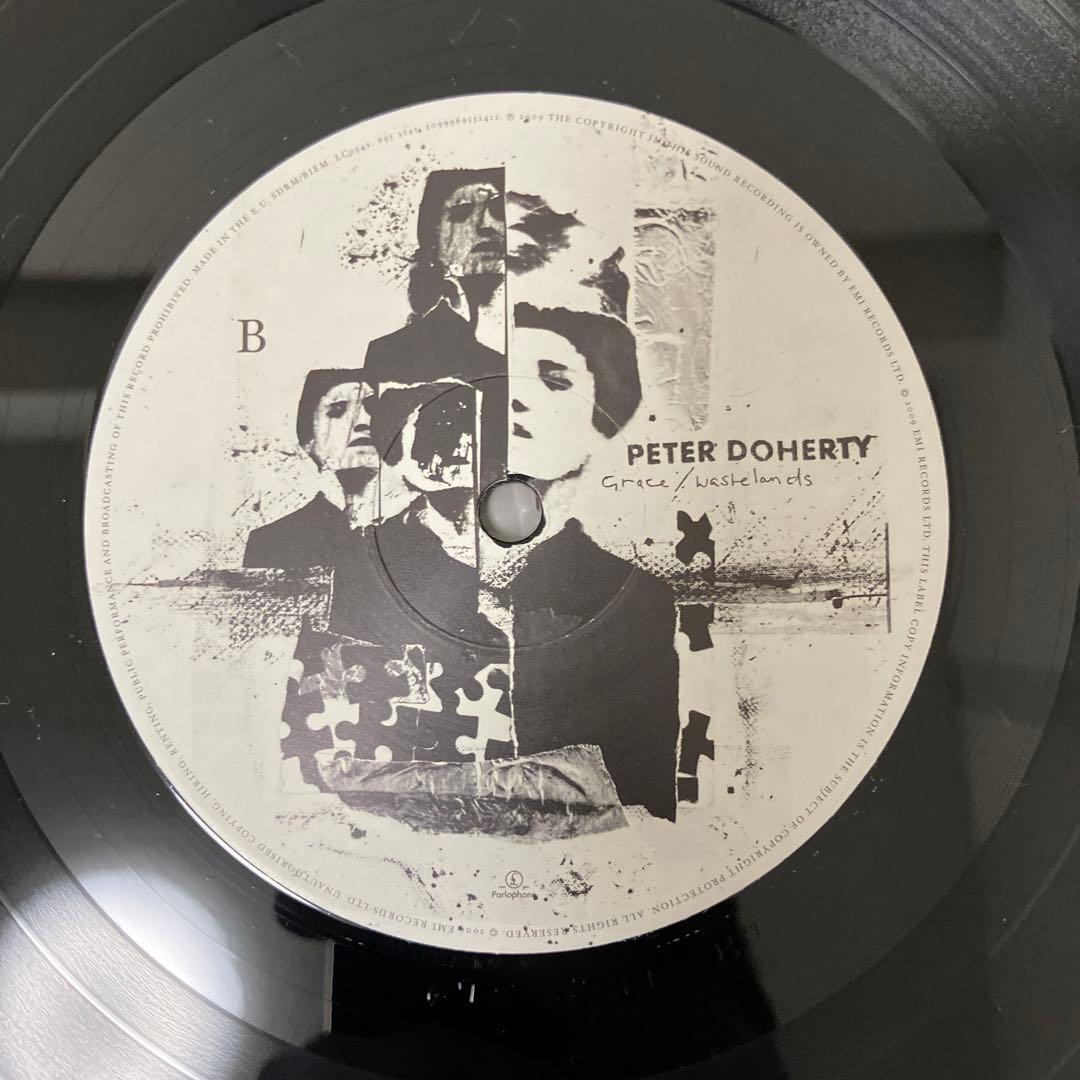 Peter Doherty Grace/Wastelands LPレコード