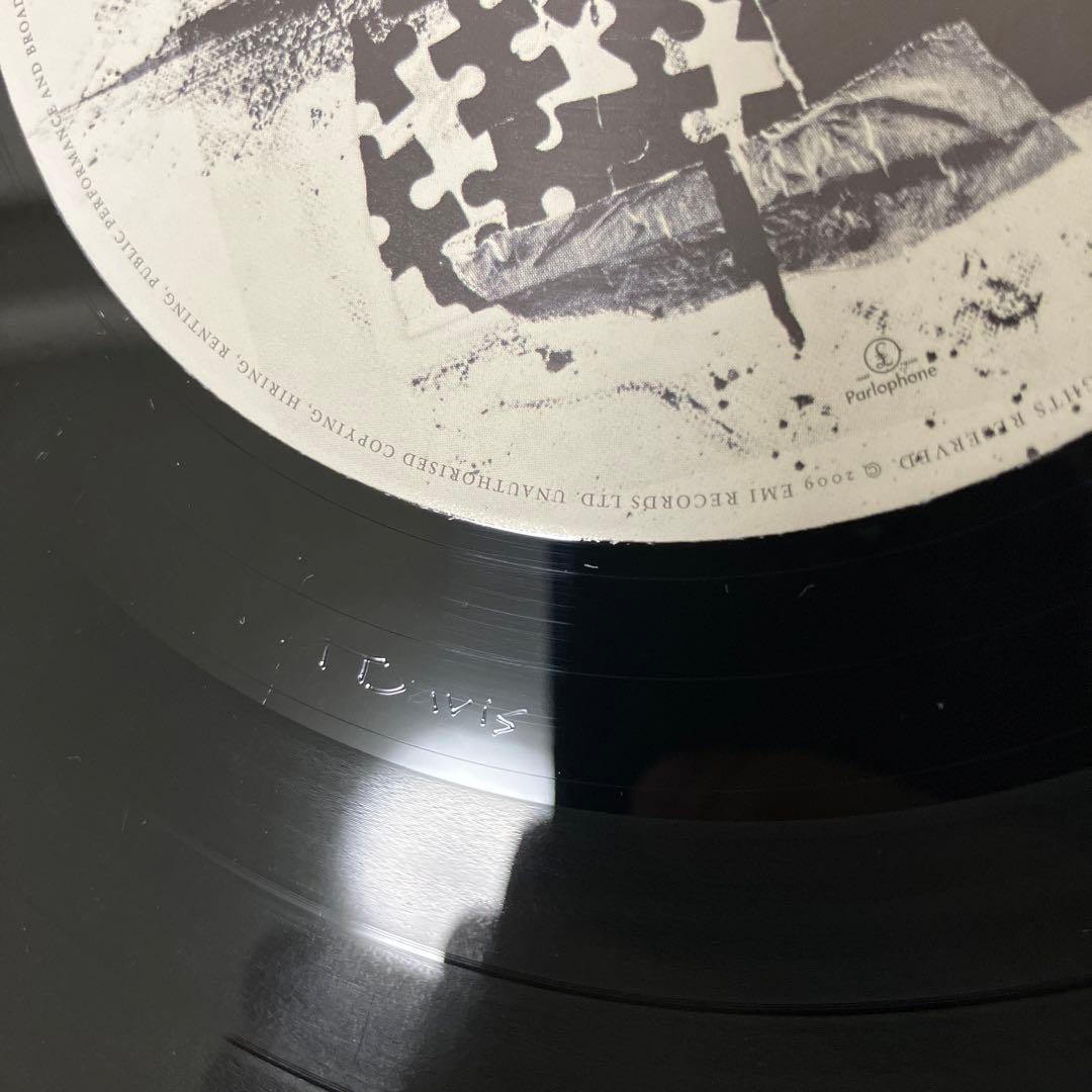 Peter Doherty Grace/Wastelands LPレコード