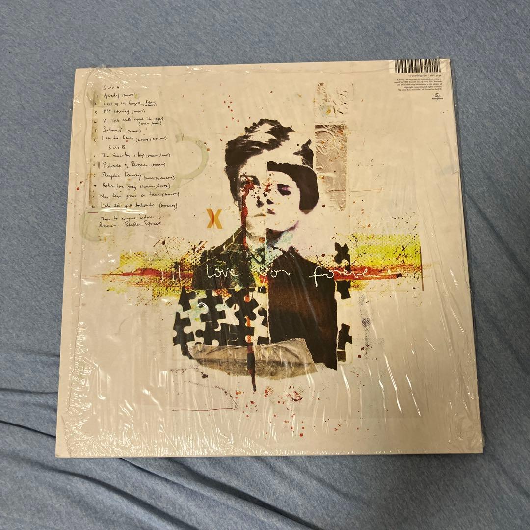 Peter Doherty Grace/Wastelands LPレコード