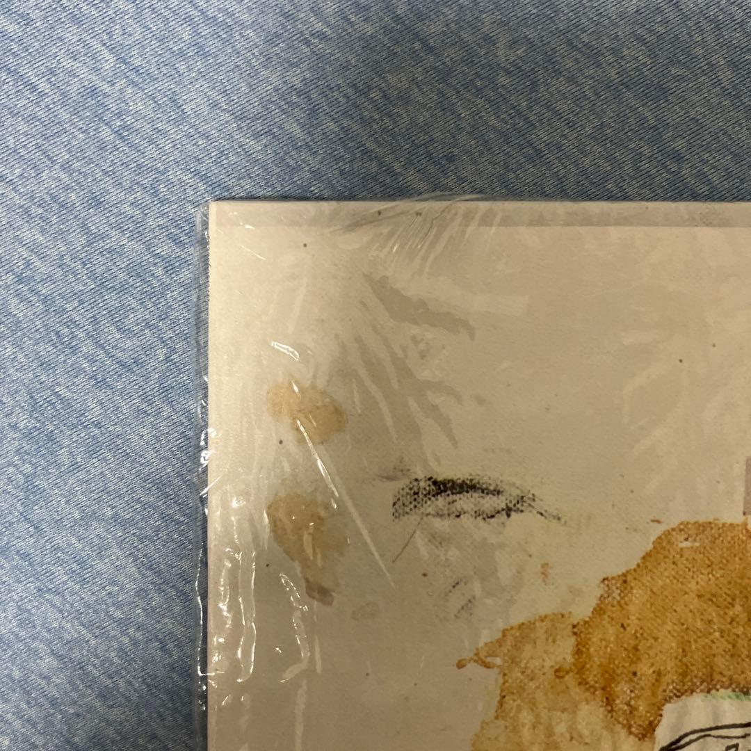 Peter Doherty Grace/Wastelands LPレコード