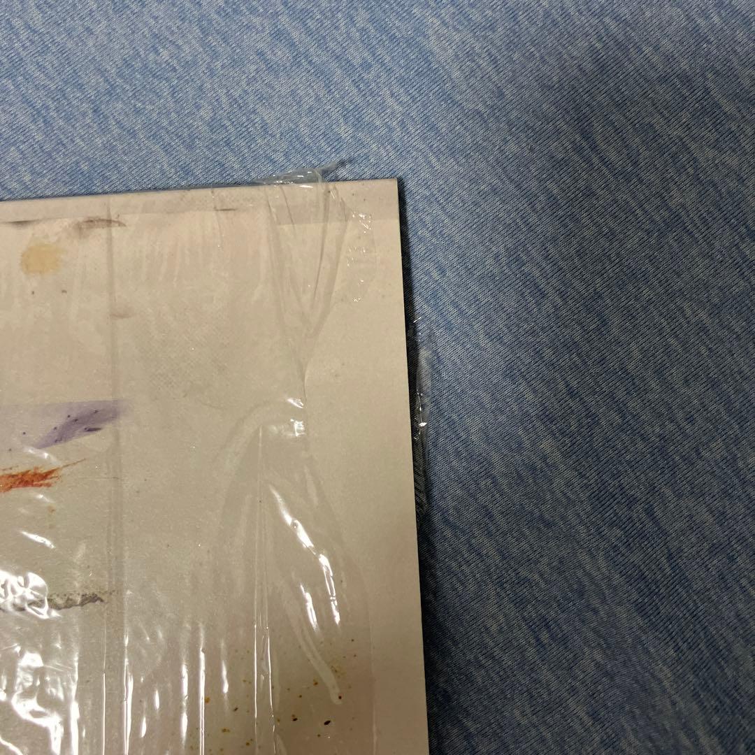 Peter Doherty Grace/Wastelands LPレコード