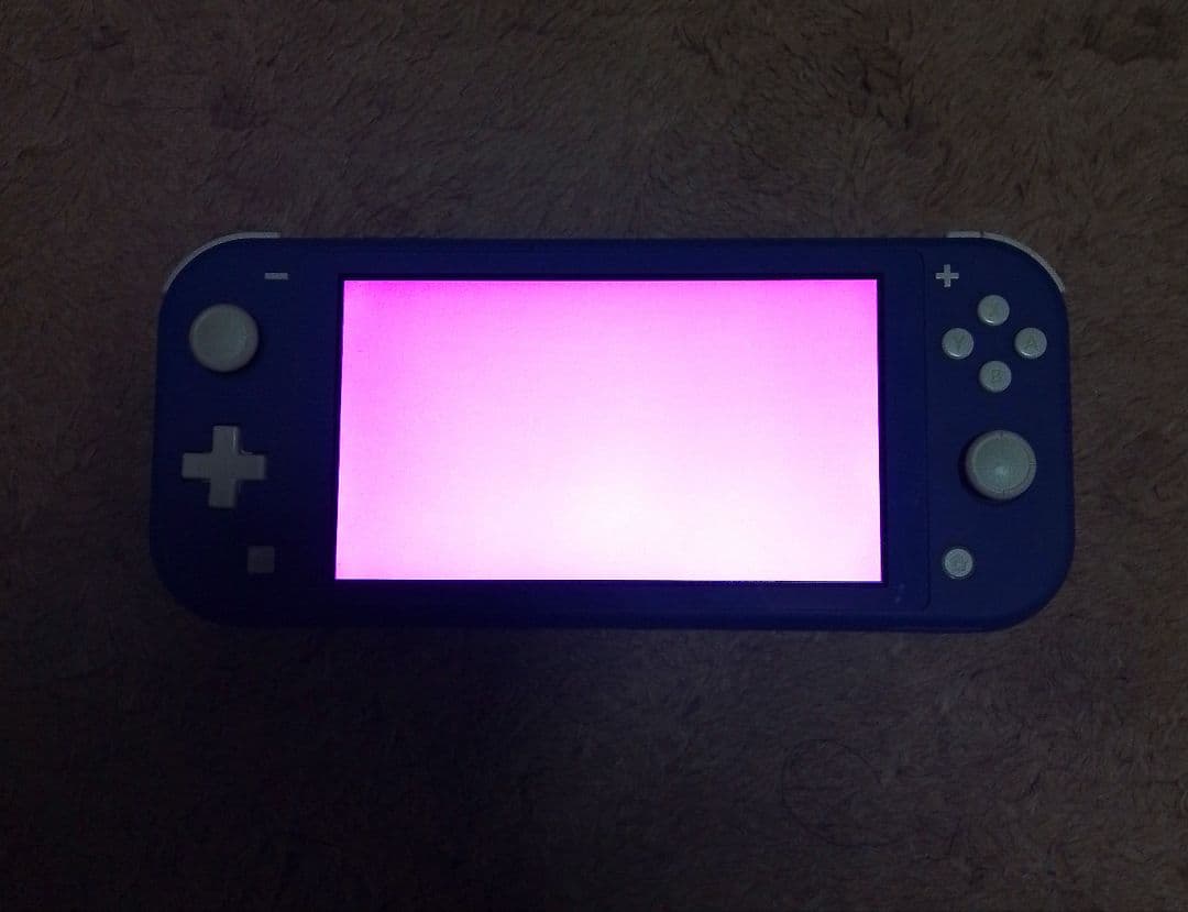 Nintendo　switch　lite