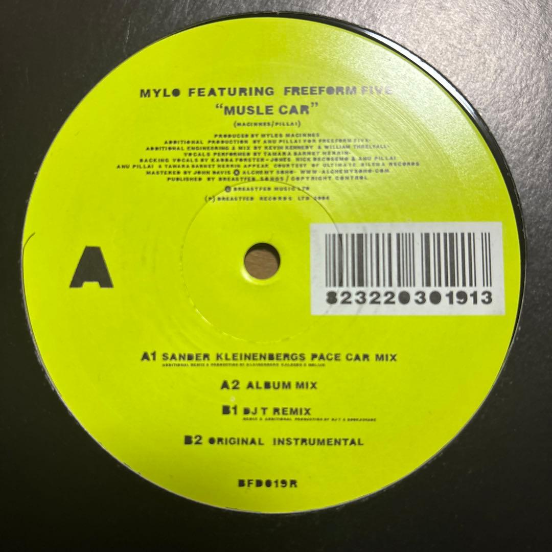 レコード13枚まとめ売り/ハウス系