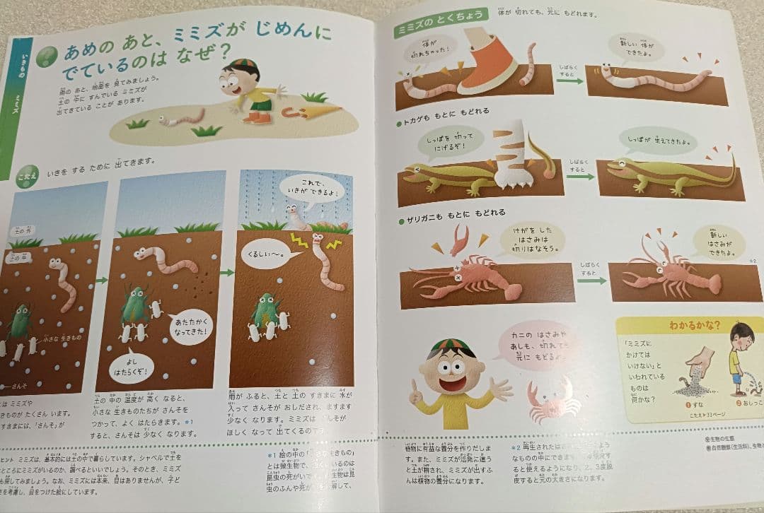 小学館の図鑑NEO 12冊+21世紀こども百科1冊 全13冊セット