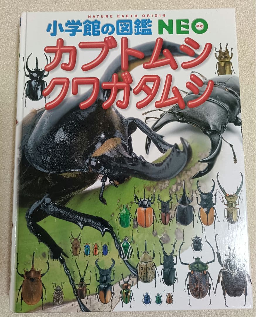 小学館の図鑑NEO 12冊+21世紀こども百科1冊 全13冊セット