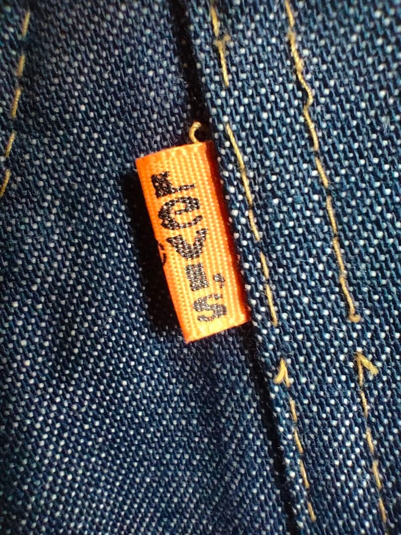 SKI LEVI'S デニム オーバーオール/春スキーにも