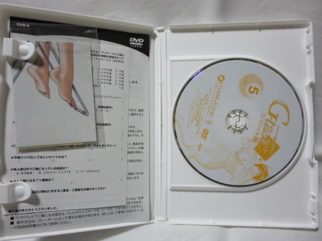 【セル版】G-taste スペシャル版　DVD1~6全巻セット